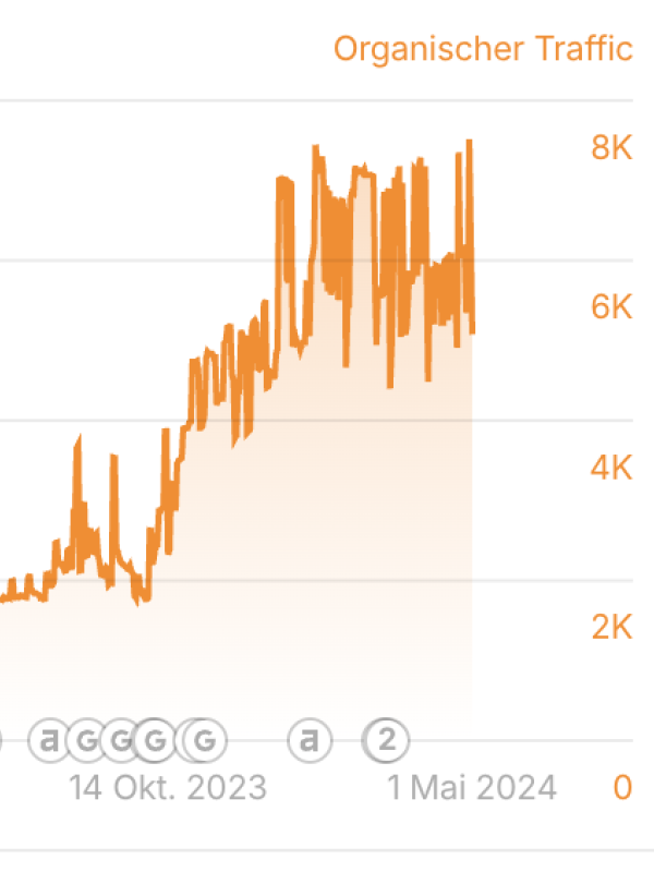 SEO Case Study: B2B-Shop im Bereich Kugellager & Industriebedarf